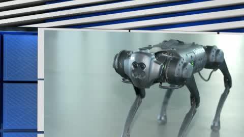 Sztuczna inteligencja i roboty mobilne. Zobacz, co potrafi robo-pies