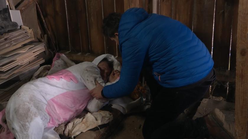 Kadr z odcinka 3647 serialu Na Wspólnej TVN - Krzysztof Wieszczek serialowy Mikołaj odnajduje zaginionego przyjaciela.