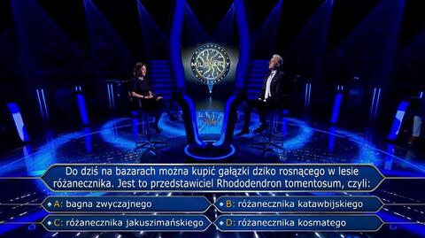 Rośnie dziko w lasach i można go kupić na bazarze. O jaki różanecznik chodziło w "Milionerach"?