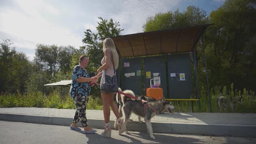 Damy i wieśniaczki. Za granicą: Droga na wieś z psim zaprzęgiem! Zobacz.