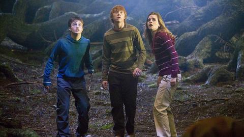 Harry Potter i Zakon Feniksa