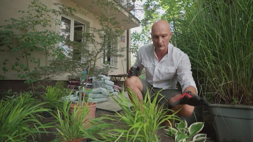 "Polowanie na ogród": Tych roślin nie mogło zabraknąć w ogrodzie Asi