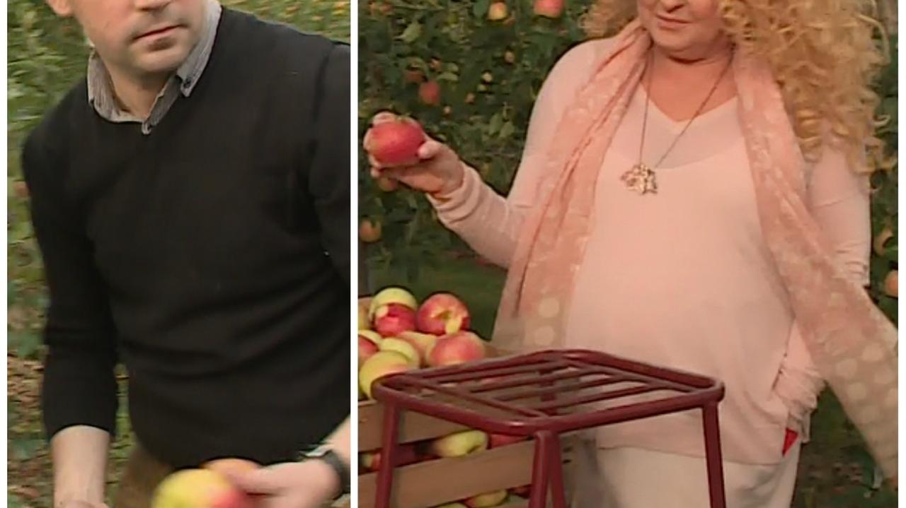 Magda Gessler postanawia poznańską załogę zaprosić do sadu. Tam czekają na nich jabłonie i tajemnice, które skrywają...