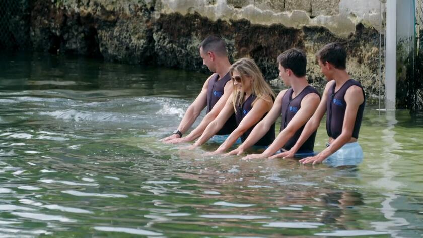 Żony Miami: Ewa Sama zabrała rodzinę na pływanie z delfinami!