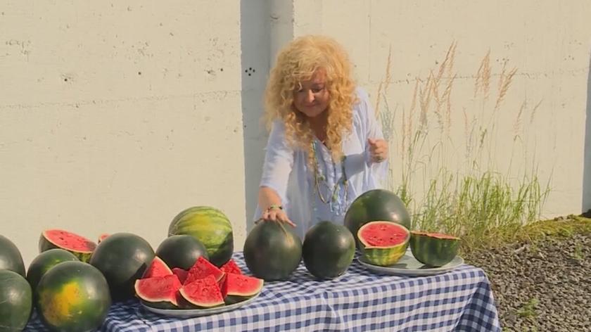 "Jaki wstyd, masakra!" - powie załoga restauracji "Zorba" w Tychach. Co ciekawe, tamtejsza ekipa nie znała podstawowego owocu prosto z Grecji, czyli arbuza właśnie. Dlatego też Magda Gessler wymyśliła dla nich pewną zabawę. Oczywiście też z małą karą - która okazała się na koniec wyjątkowo słodka. Premiera odcinka już 8 listopada o godz. 21:30, oczywiście w TVN. 