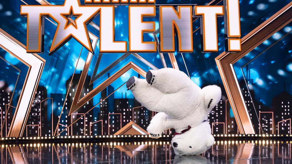 Mam Talent! 16: Biały Miś XXL