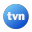 tvn.pl-logo